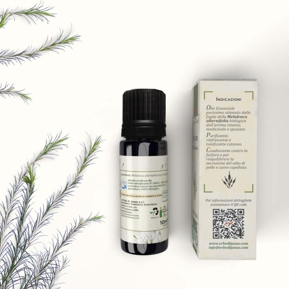 زيت شجرة الشاي العطري العضوي، 10 مل