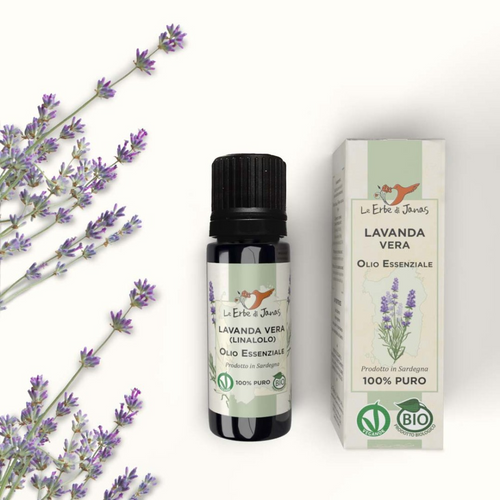 Bio Ätherisches Öl Lavendel aus Sardinien, 10 ml