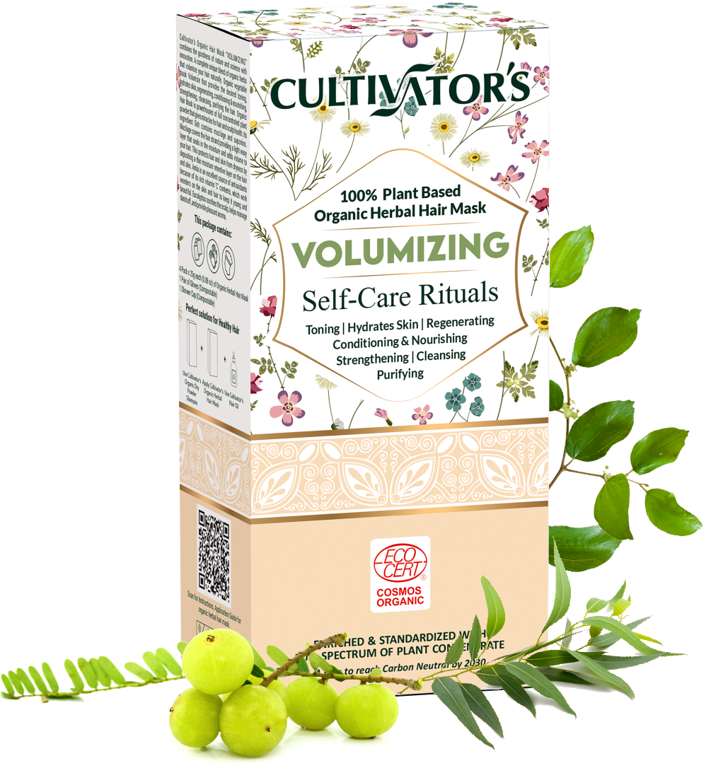 Bio Haarmaske Pulver Reinigung, 100g