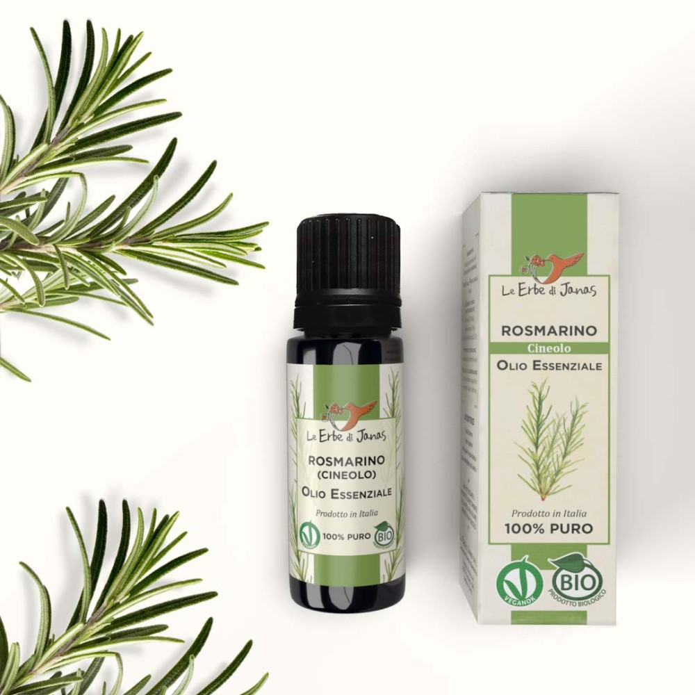 Bio Ätherisches Öl Rosmarin Cineol, 10 ml