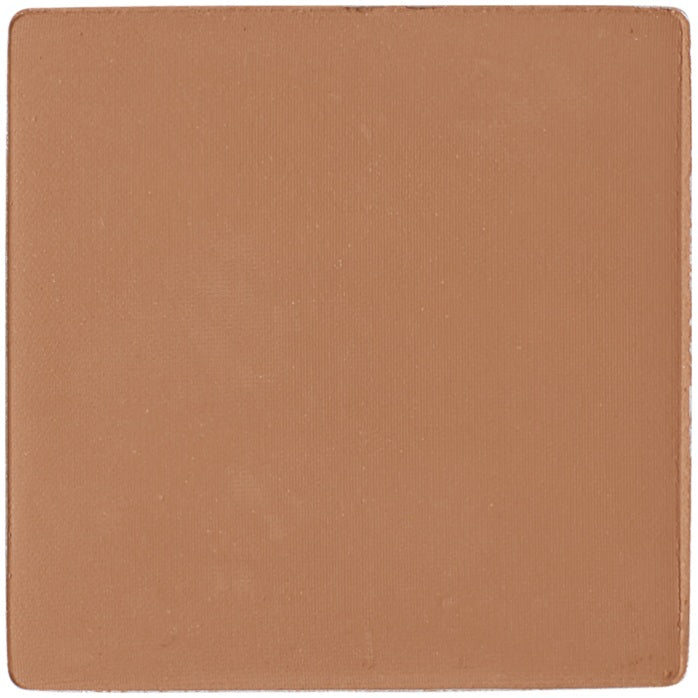 Bio Healthy-Glow Puder – Natürlicher Glanz & Pflegender Glow, 2 g