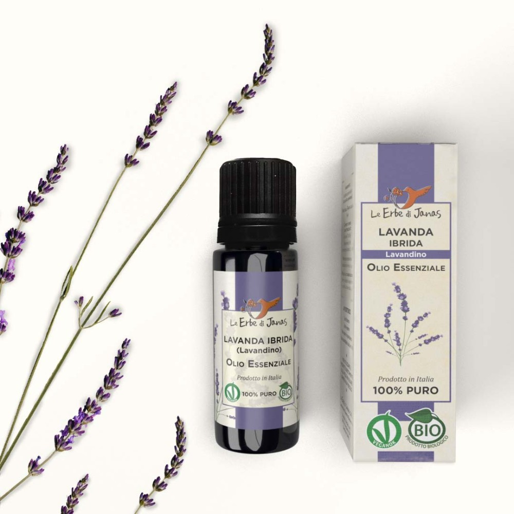 Bio Ätherisches Öl Lavandin (Hybrid-Lavendel), 10 ml