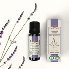Bio Ätherisches Öl Lavandin (Hybrid-Lavendel), 10 ml