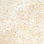 Seifenablage Luffa, 4 g