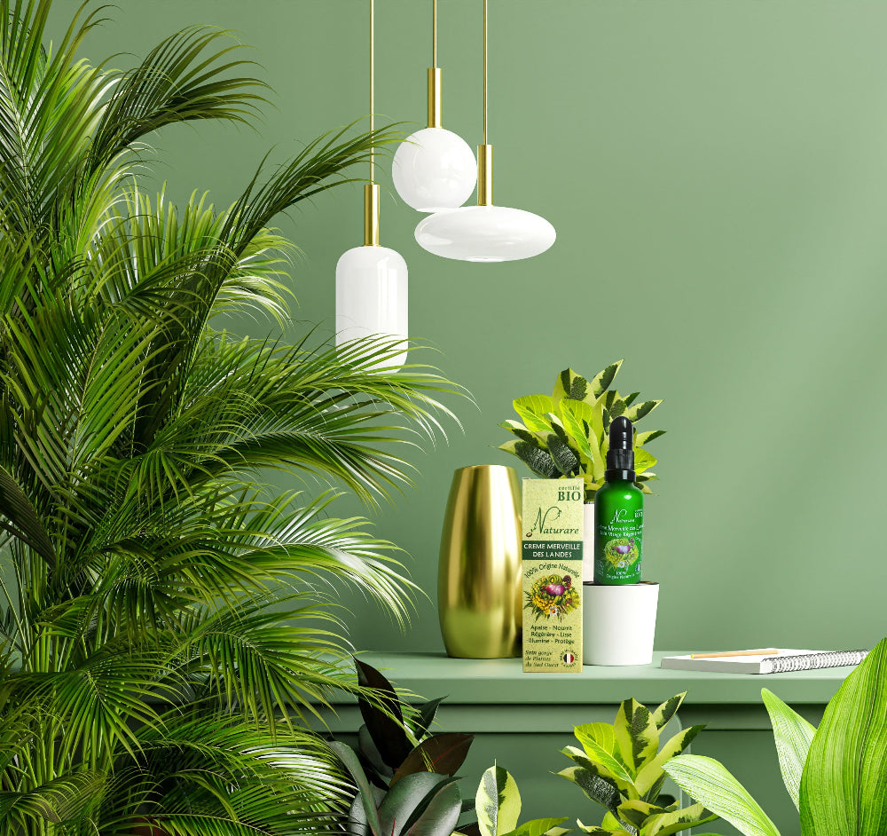 Das Divine Trio by Naturare