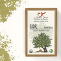 Sidr Pulver (Ziziphus), 100 g