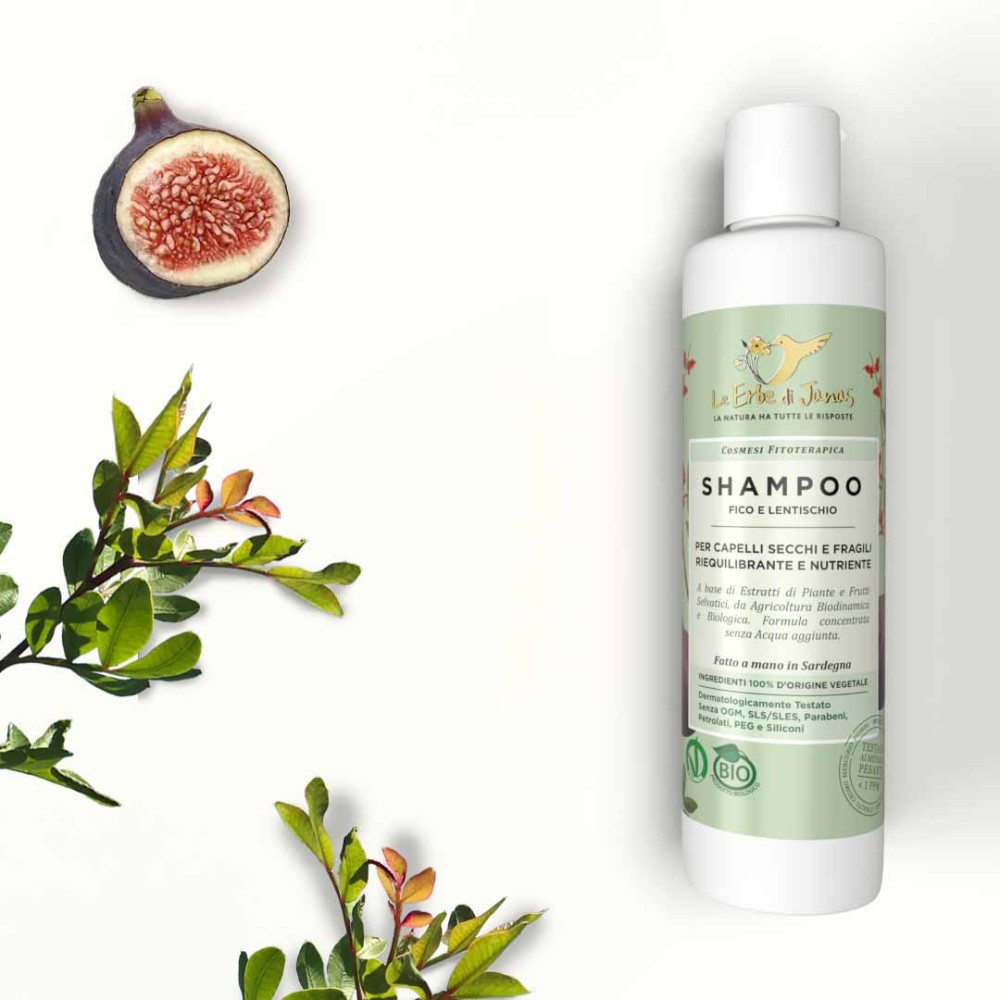 Bio Shampoo für trockenes Haar mit Feige & Mastix – Mini, 50 ml