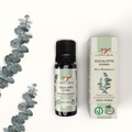Bio Ätherisches Öl Eukalyptus Gunnii, 10 ml