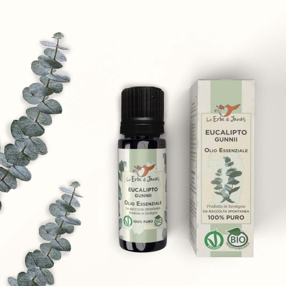 Bio Ätherisches Öl Eukalyptus Gunnii, 10 ml
