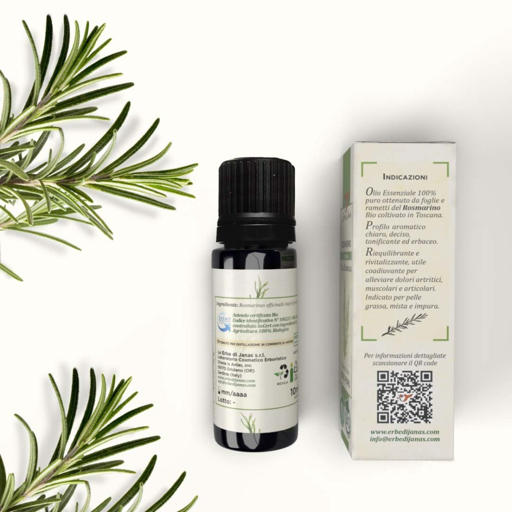Bio Ätherisches Öl Rosmarin Cineol, 10 ml