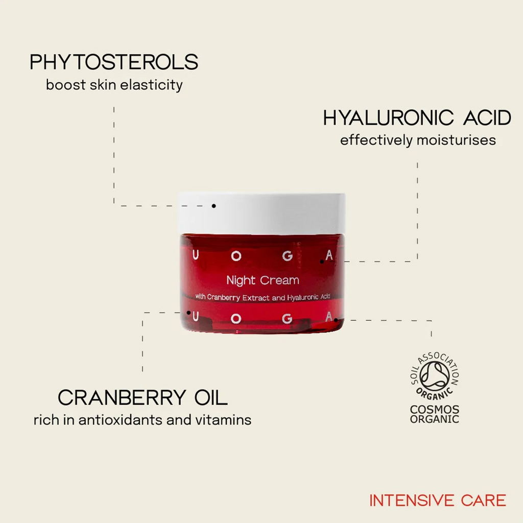 Night Face Cream with Hyaluronic Acid – Nachtcreme, 40 ml
