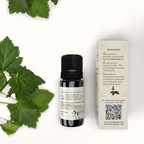زيت عطري عضوي للباتشولي، 5 مل