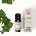 Bio Ätherisches Öl Patchouli, 5 ml
