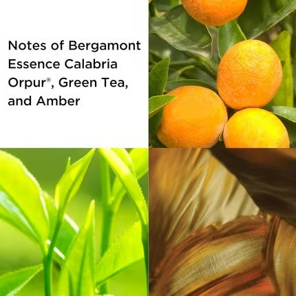 Green Tea Set – EDP 100ml + Body Lotion